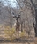 Mike Edgcumbe profile image