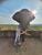 Micole Martens profile image
