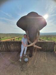 Micole Martens profile image