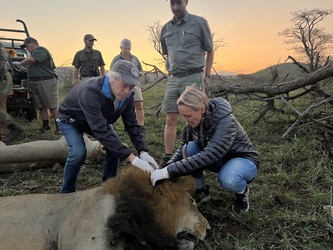 joanne Van der Walt profile image